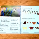 Spielerisch das ABC lernen – Pädagogisches und therapeutisches Material – Logopädie, Ergotherapie LRS, Inklusion