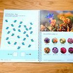 Spielerisch das ABC lernen – Pädagogisches und therapeutisches Material – Logopädie, Ergotherapie LRS, Inklusion