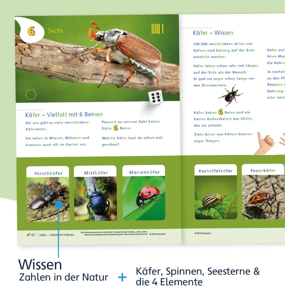 Zahlen lernen Grundschule, Vorschule