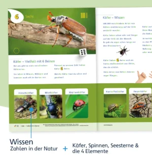 Zahlen lernen Grundschule, Vorschule