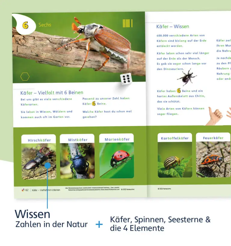 Zahlen lernen Grundschule, Vorschule