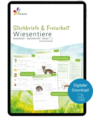 Wiesentiere - Steckbriefe und Freiarbeit Grundschule