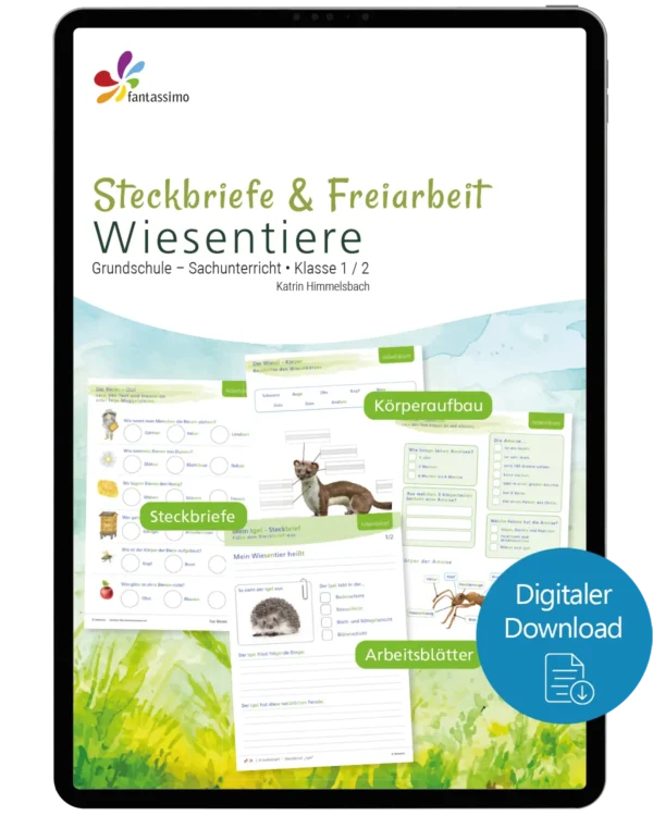 Wiesentiere - Steckbriefe und Freiarbeit Grundschule