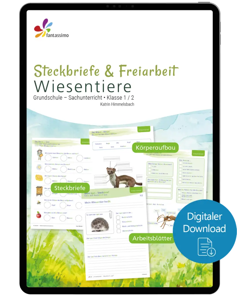 Wiesentiere - Steckbriefe und Freiarbeit Grundschule
