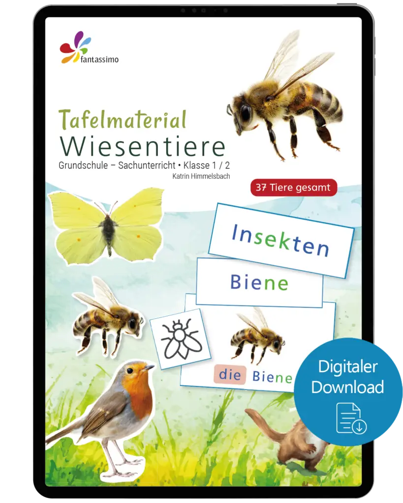 Wiesentiere - Tafelmaterial für die Grundschule