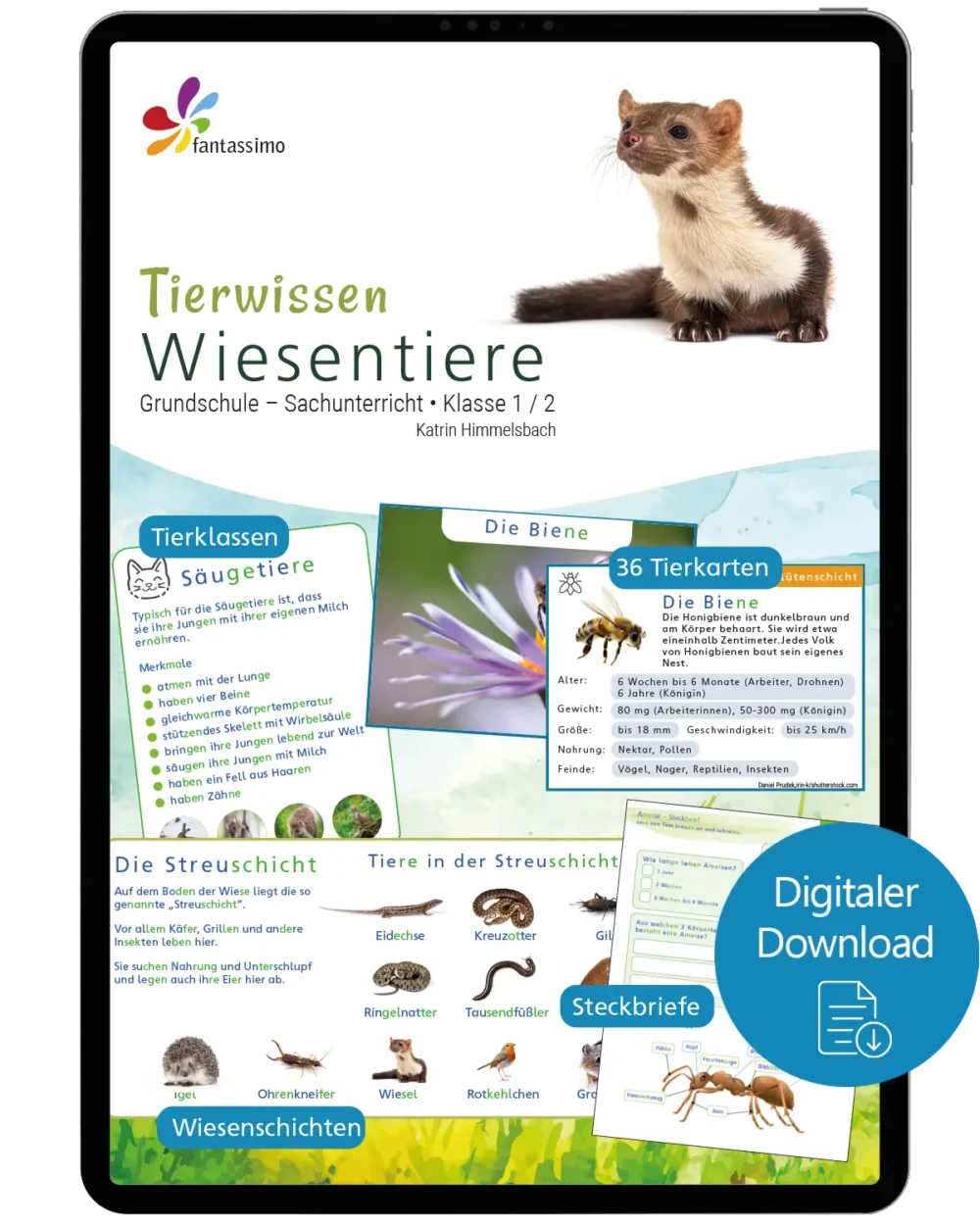 Wiesentiere - Tierwissen für die Grundschule