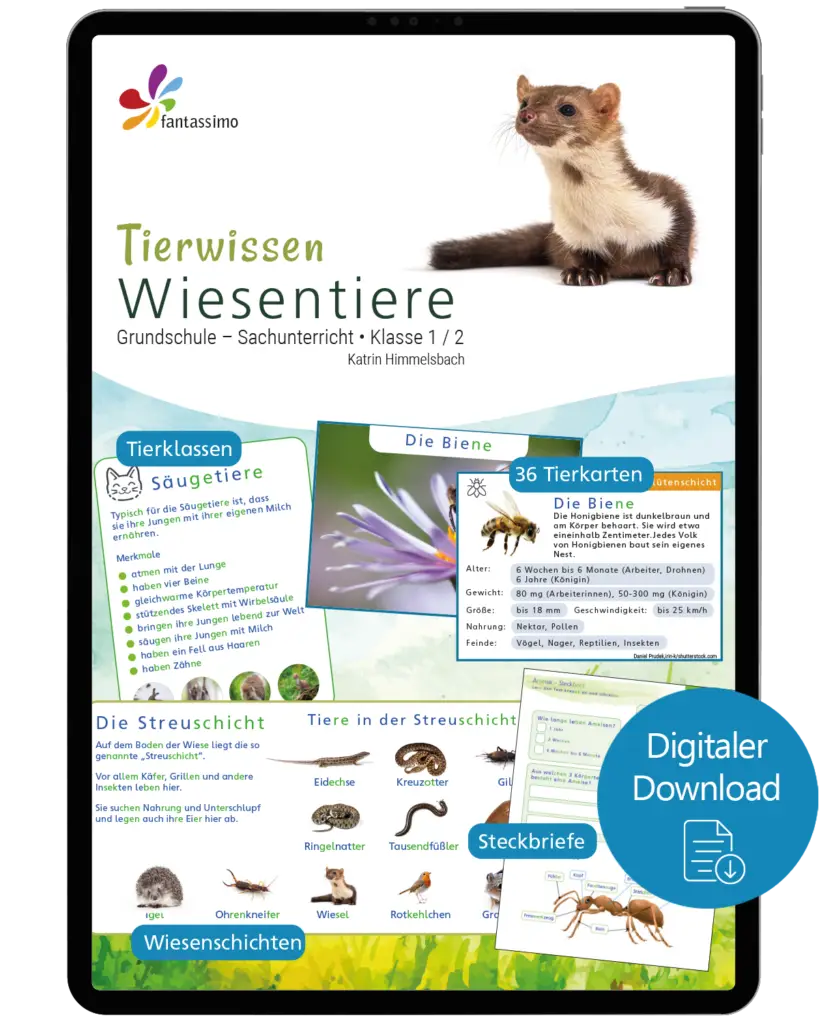 Wiesentiere - Tierwissen für die Grundschule