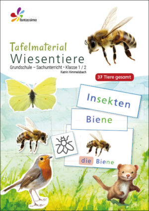 Wiesentiere - Tafelmaterial Grundschule Klasse 1 und 2