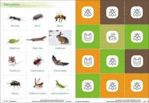 Wiesentiere Geschichten, Spiele Grundschule - Klasse 1 und 2
