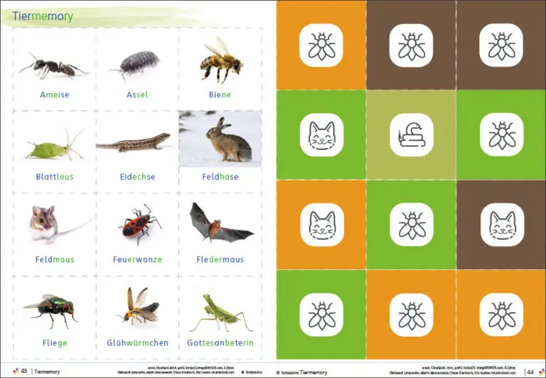 Wiesentiere Geschichten, Spiele Grundschule - Klasse 1 und 2