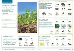 tierwissen1