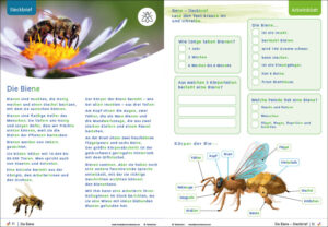 Unterrichtsmaterial Wiesentiere - Tierwissen für Grundschule Klass1 und 2