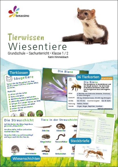 Unterrichtsmaterial Wiesentiere - Tierwissen für Grundschule Klass1 und 2