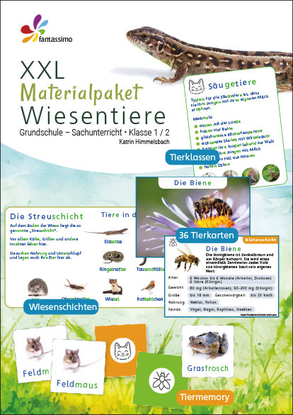 Komplettes unterrichtmaterial Wiesentiere - Klasse 1 und 2