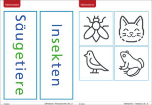 Wiesentiere - Tafelmaterial Grundschule Klasse 1 und 2