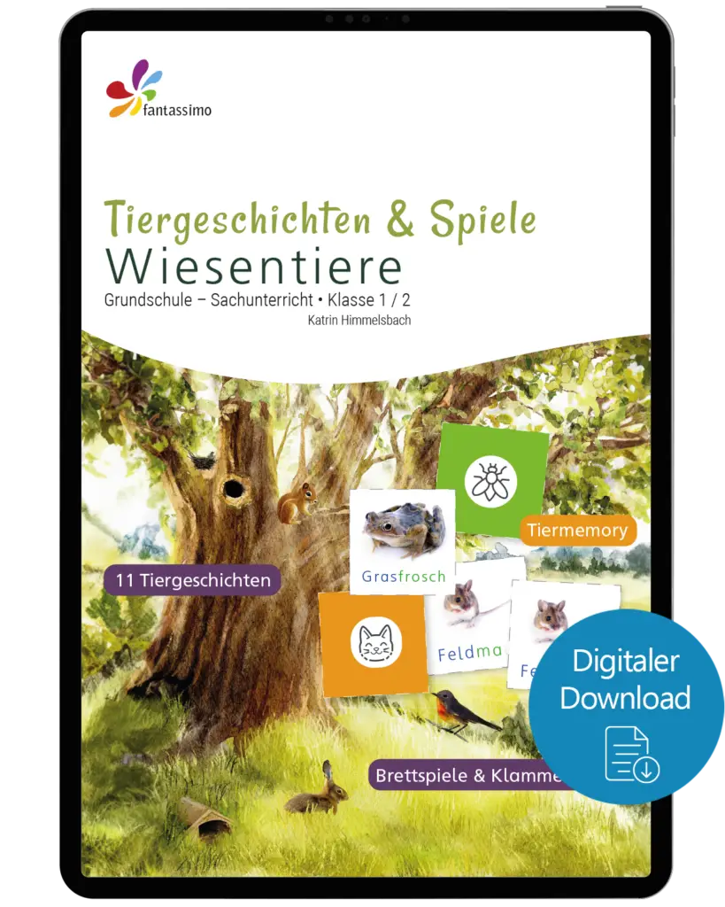 Produkte - Lernspiele und Lernmaterial Grundschule / Vorschule / Kita