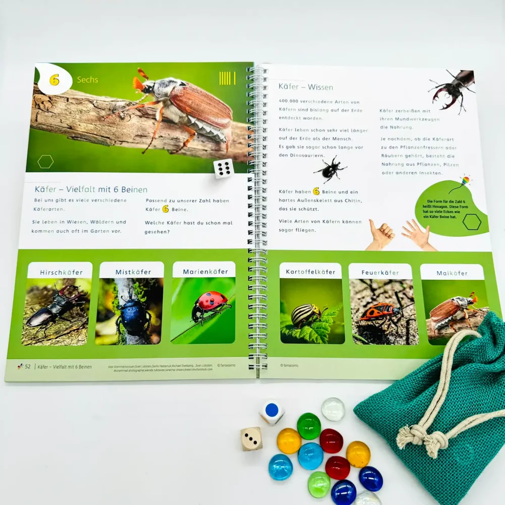 Spielerisch Mathematik und Zahlen lernen in Kita. Vorschule und Grundschule