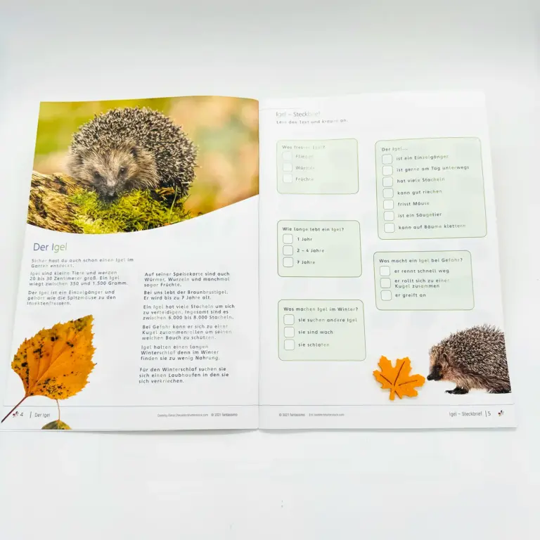 Herbst - Lernheft für Kinder ab 5 Jahre - Lesen, Schreiben, Rechnen