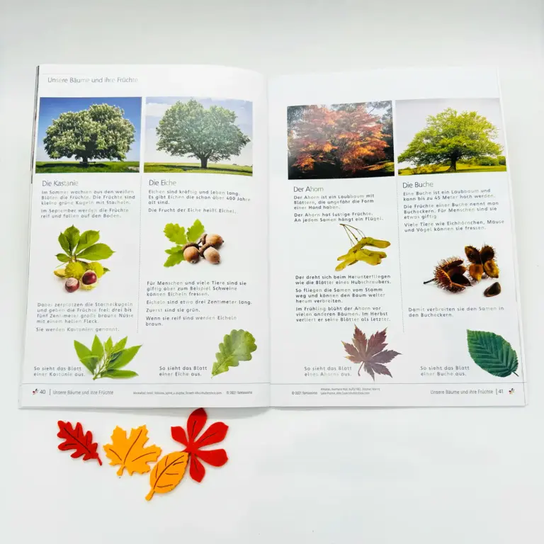 Herbst - Lernheft für Kinder ab 5 Jahre - Lesen, Schreiben, Rechnen