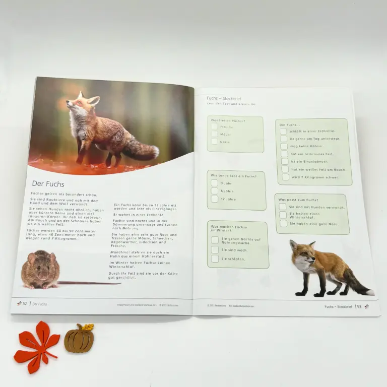 Herbst - Lernheft für Kinder ab 5 Jahre - Lesen, Schreiben, Rechnen