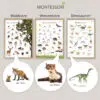 Pädagogische Montessori Poster für Kinder