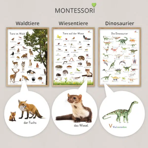 Pädagogische Montessori Poster für Kinder